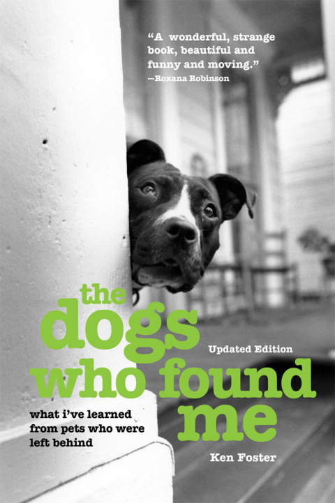 Cover image for book The Dogs Who Found Me