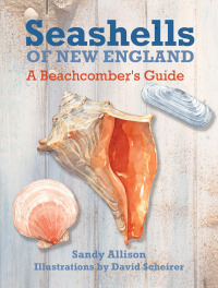 Titelbild: Seashells of New England 1st edition 9781493027897