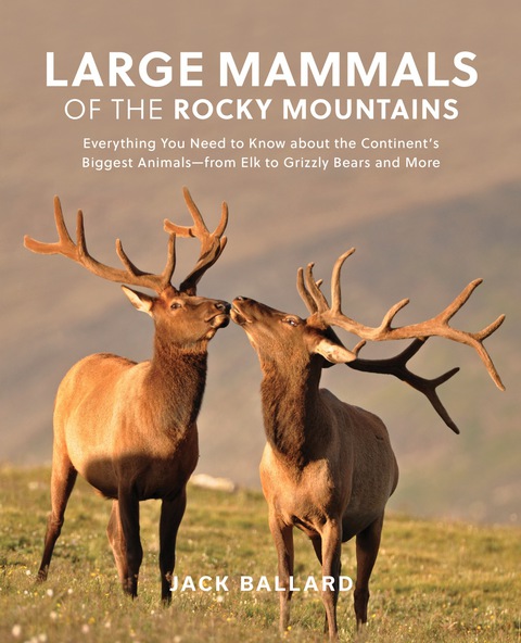 Cover image for book Large Mammals of the Rocky Mountains