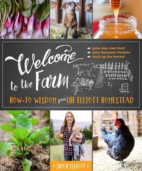 Cover image for book Welcome to the Farm
