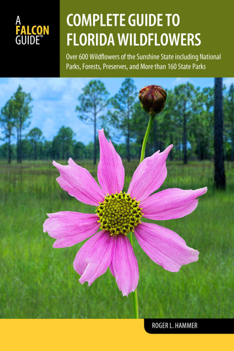 Cover image for book Complete Guide to Florida Wildflowers