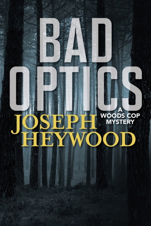 Cover image for book Bad Optics