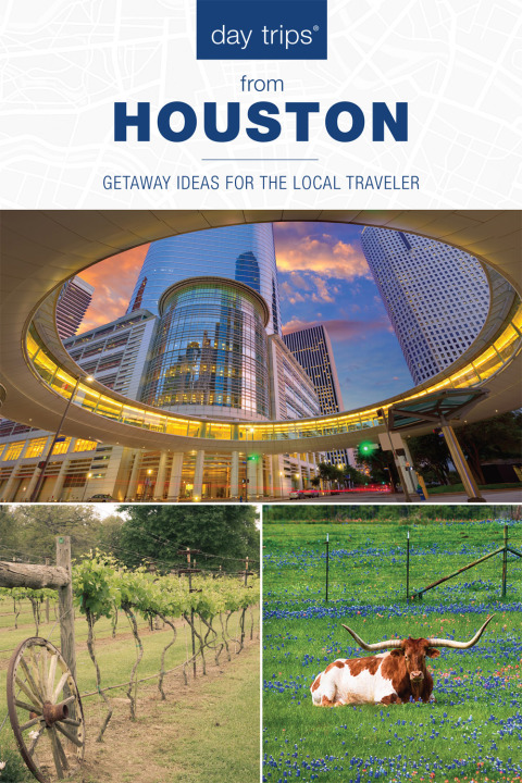 Cover image for book Day Trips® from Houston