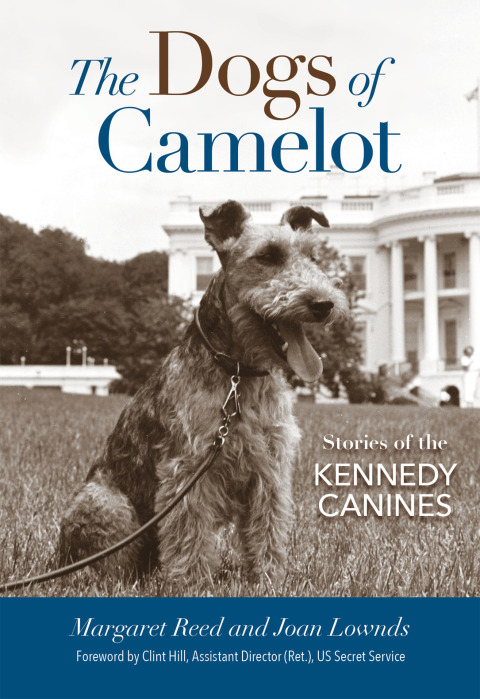 Cover image for book The Dogs of Camelot