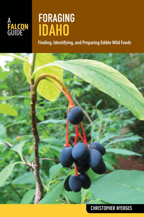 Cover image for book Foraging Idaho