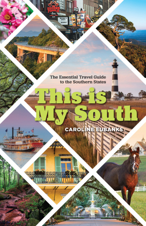 Cover image for book This Is My South