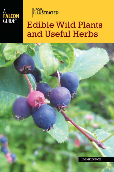 Cover image for book Basic Illustrated Edible Wild Plants and Useful Herbs
