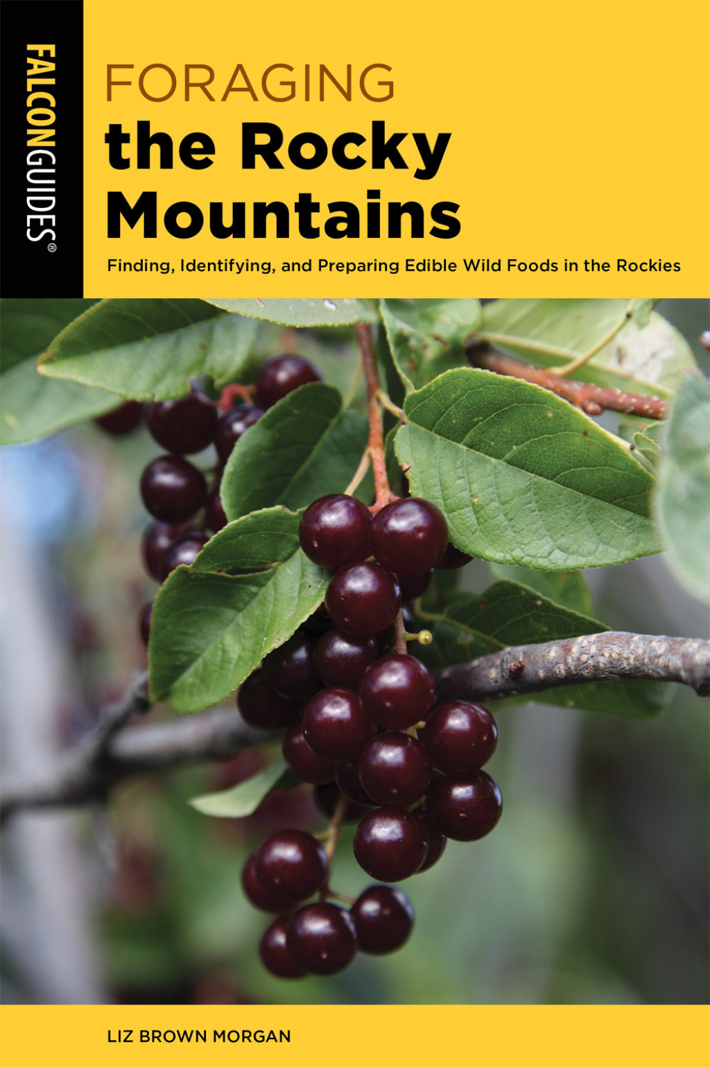 Reflowable Foraging the Rocky Mountains; $22.19