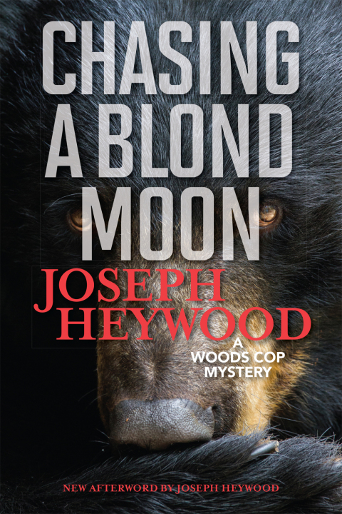 Cover image for book Chasing a Blond Moon