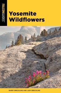 Cover image: Yosemite Wildflowers 9781493040667