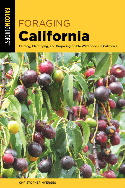 Cover image for book Foraging California