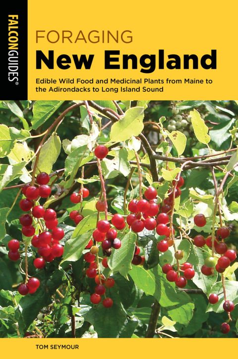 Cover image for book Foraging New England