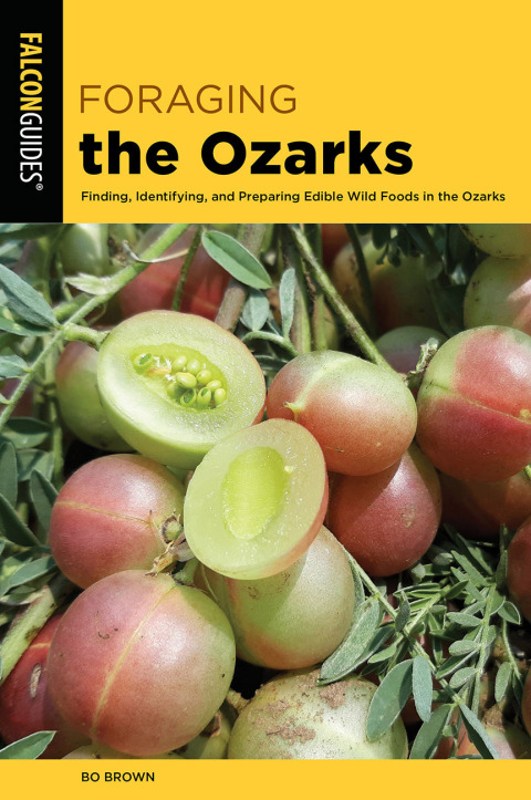 Cover image for book Foraging the Ozarks