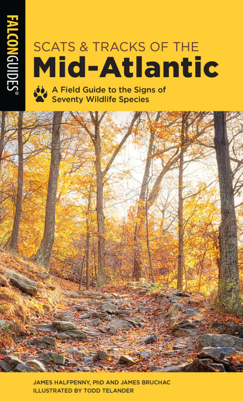 Cover image for book Scats and Tracks of the Mid-Atlantic