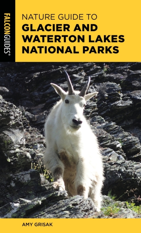 Nature Guide to Glacier and Waterton Lakes National Parks 