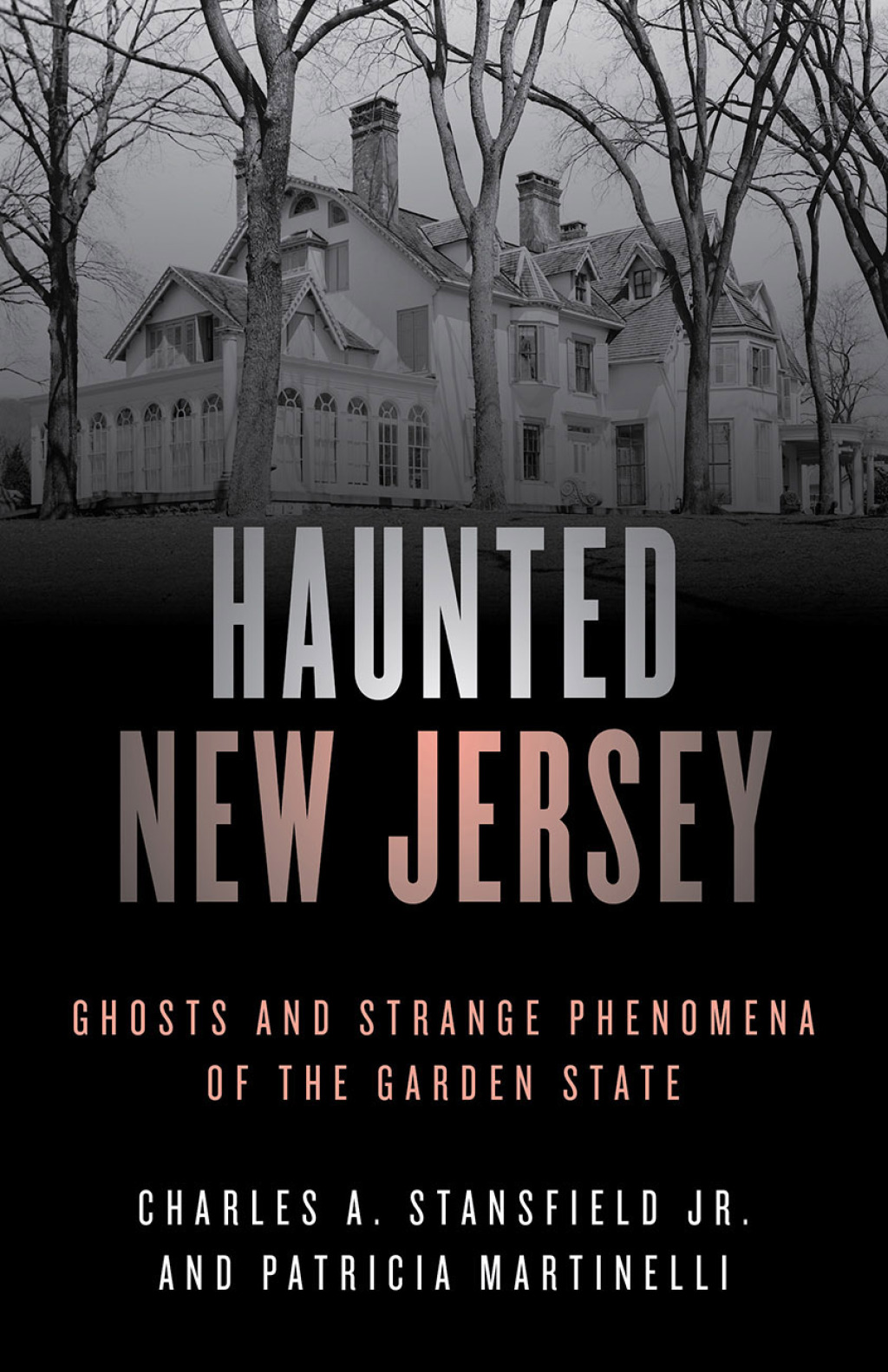 Reflowable Haunted New Jersey; $16.64