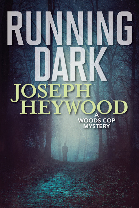 Cover image for book Running Dark