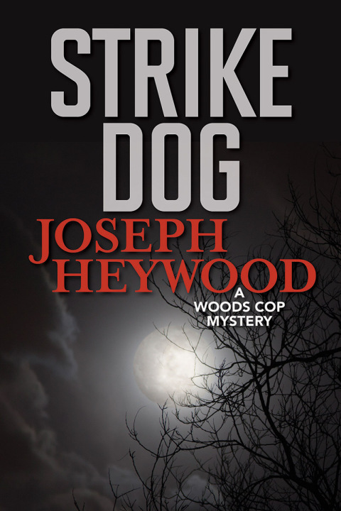 Cover image for book Strike Dog
