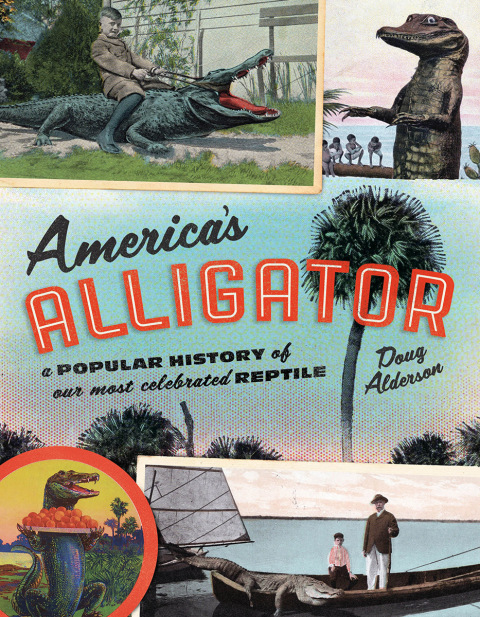 Cover image for book America's Alligator
