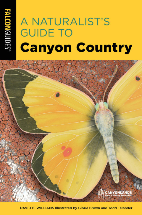 Cover image for book A Naturalist's Guide to Canyon Country