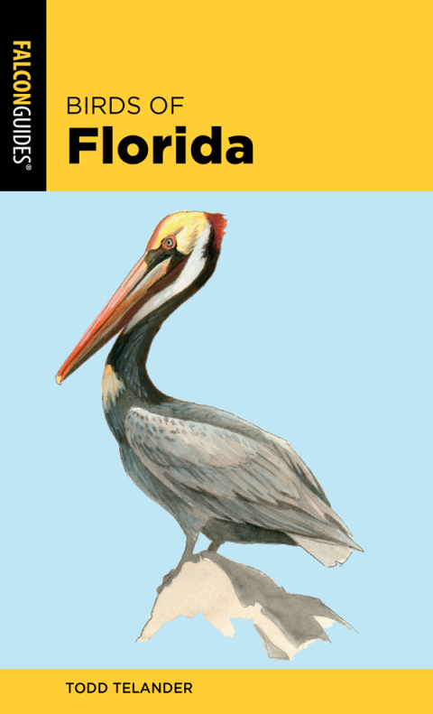 Cover image for book Birds of Florida