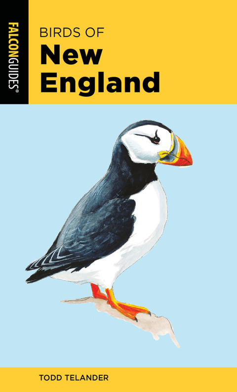 Cover image for book Birds of New England