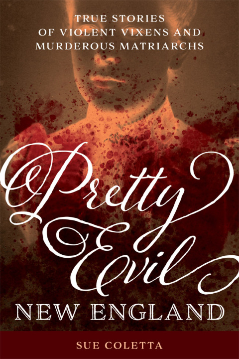 Cover image for book Pretty Evil New England