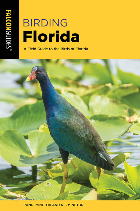 Cover image for book Birding Florida