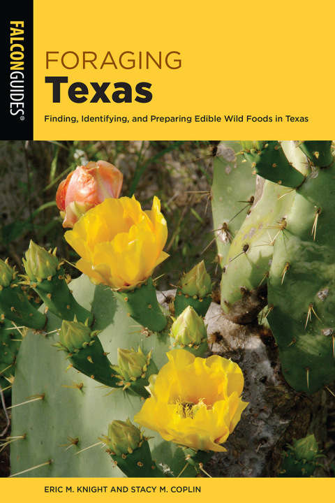 Cover image for book Foraging Texas