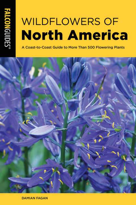 Cover image for book Wildflowers of North America