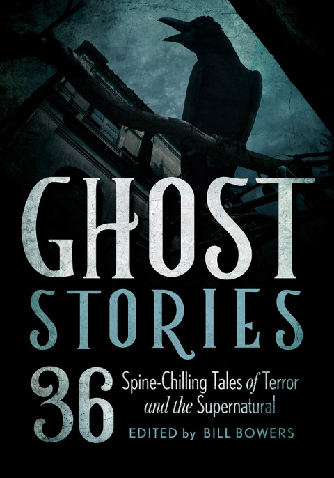 Cover image for book Ghost Stories