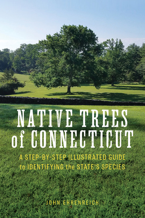 Cover image for book Native Trees of Connecticut