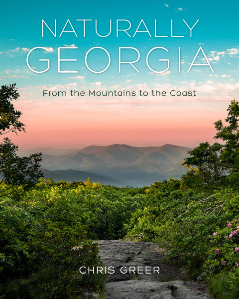 Cover image for book Naturally Georgia