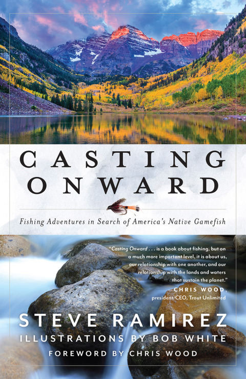 Cover image for book Casting Onward