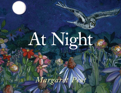 At Night