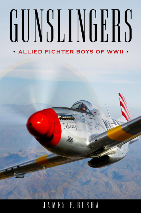 Cover image for book Gunslingers