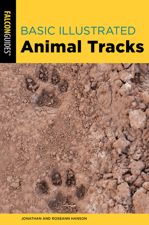 Basic Illustrated Animal Tracks 