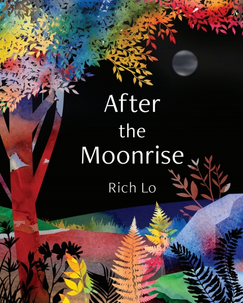 After the Moonrise 