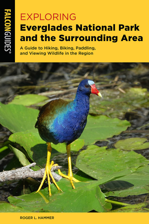 Cover image for book Exploring Everglades National Park and the Surrounding Area