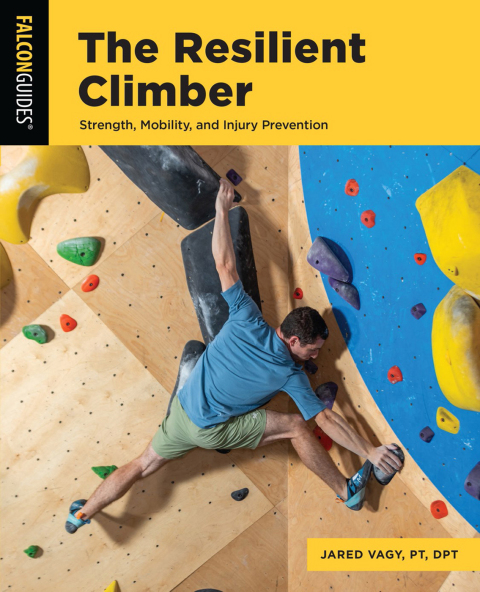 Cover image for book The Resilient Climber