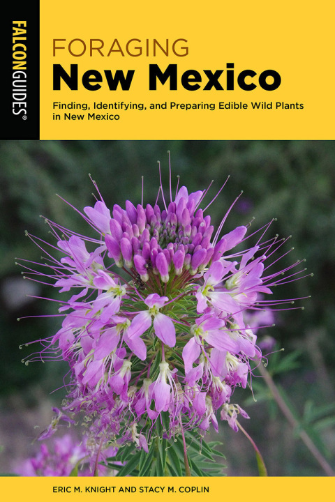 Cover image for book Foraging New Mexico