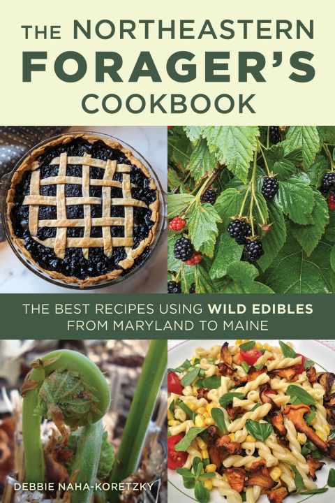 Cover image for book Northeastern Forager's Cookbook