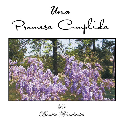 Cover image for book Una Promesa Cumplida