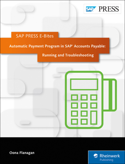 Cover image for book Automatic Payment Program in SAP Accounts Payable: Running and Troubleshooting