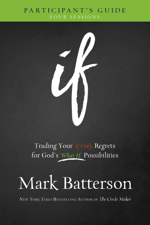 Cover image for book If Participant's Guide