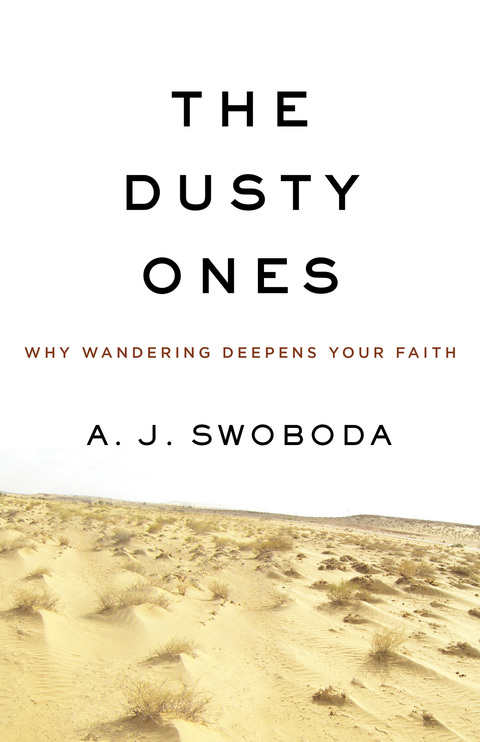 Cover image for book The Dusty Ones