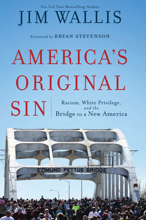 Cover image for book America's Original Sin