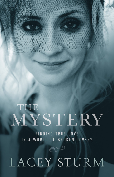 Cover image for book The Mystery