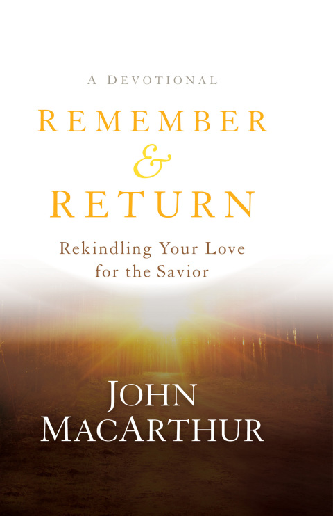 Cover image for book Remember and Return
