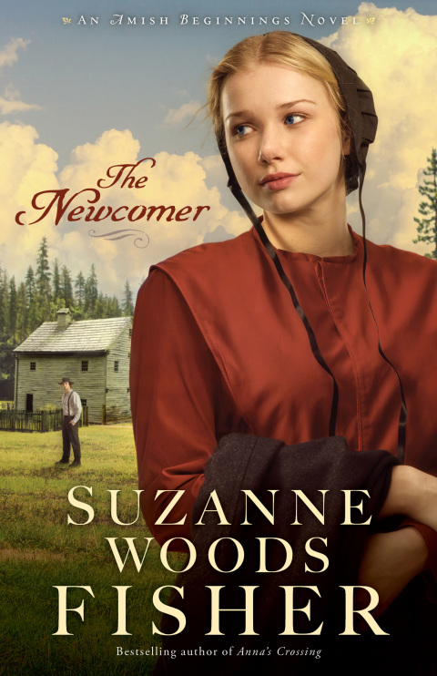 Cover image for book The Newcomer